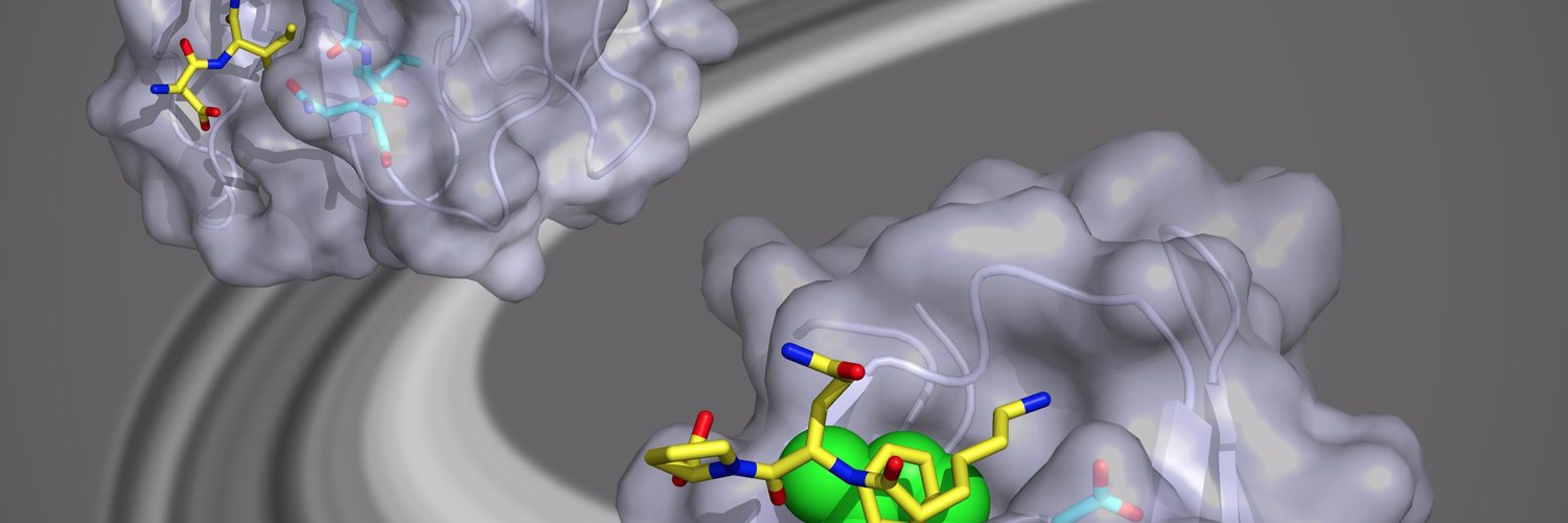 Protein Ligand Binding
